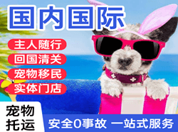 锡林浩特国际宠物托运 【国